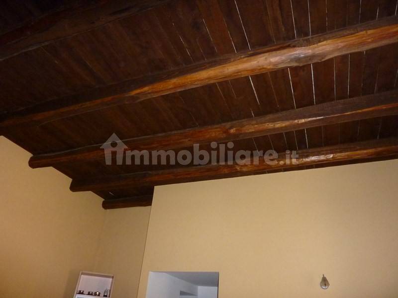 PARTICOLARE SOFFITTO