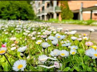 Viale esterno