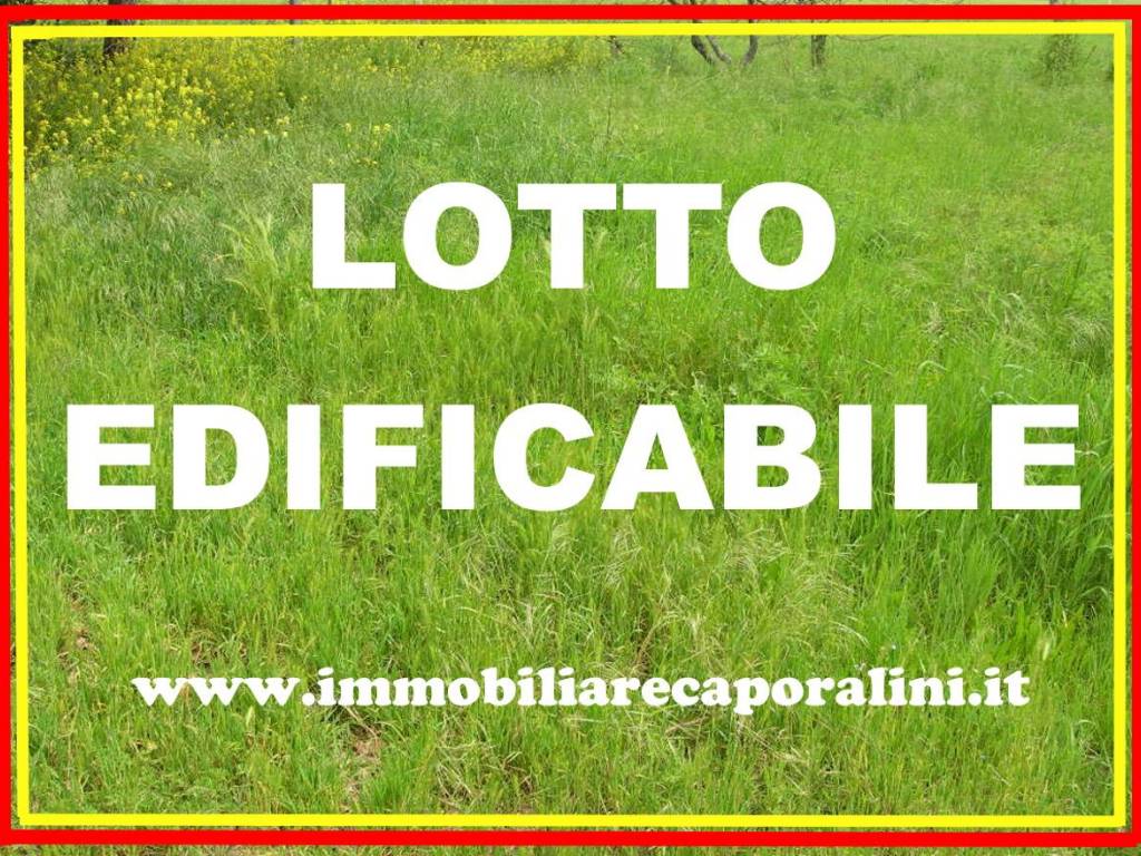 Lotto Edificabile