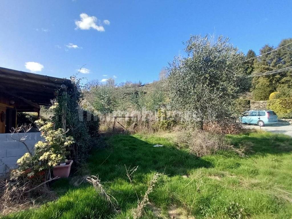 Terreno