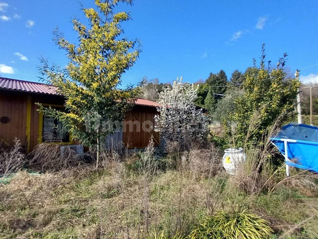 Terreno