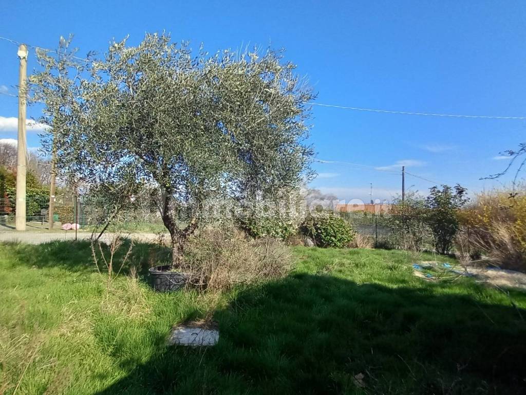 Terreno