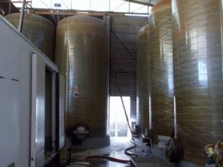 Ripatransone- Azienda Agricola cantina vecchia.jpg