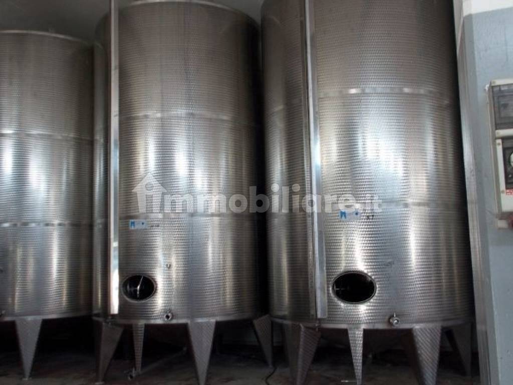 Ripatransone- Azienda Agricola Cisterne Inox.jpg