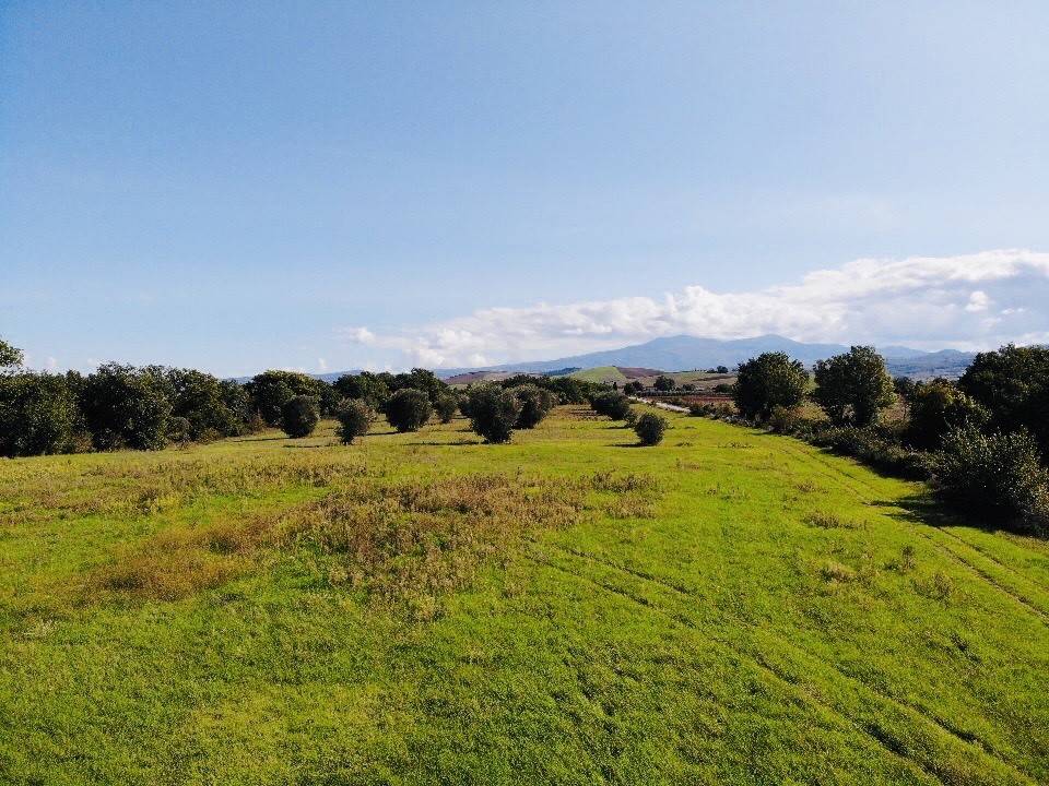 Terreno agricolo strada del cipressino, cinigiano