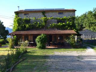 Foto - Vendita Appartamento con giardino, Roccagloriosa, Cilento