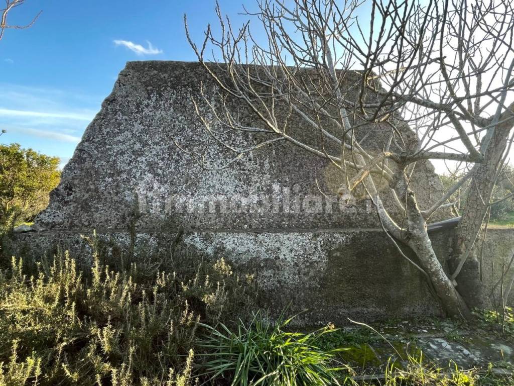 Terreno con Pajara in vendita a Carpignano