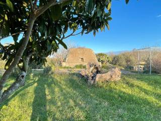 Terreno con Pajara in vendita a Carpignano