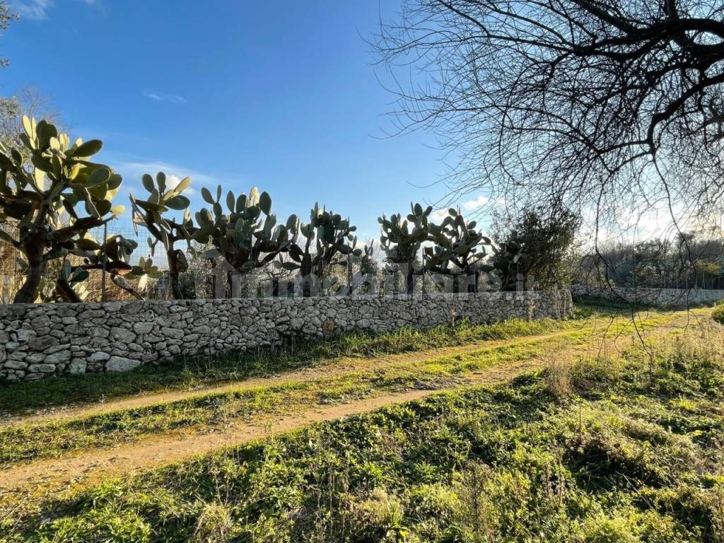 Terreno con Pajara in vendita a Carpignano