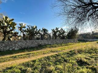 Terreno con Pajara in vendita a Carpignano