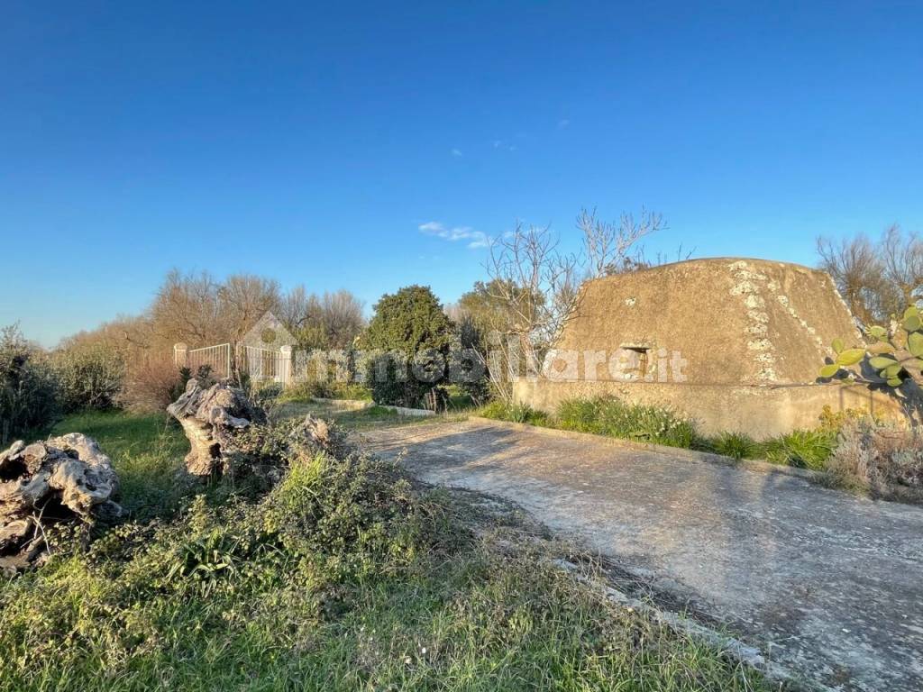 Terreno con Pajara in vendita a Carpignano