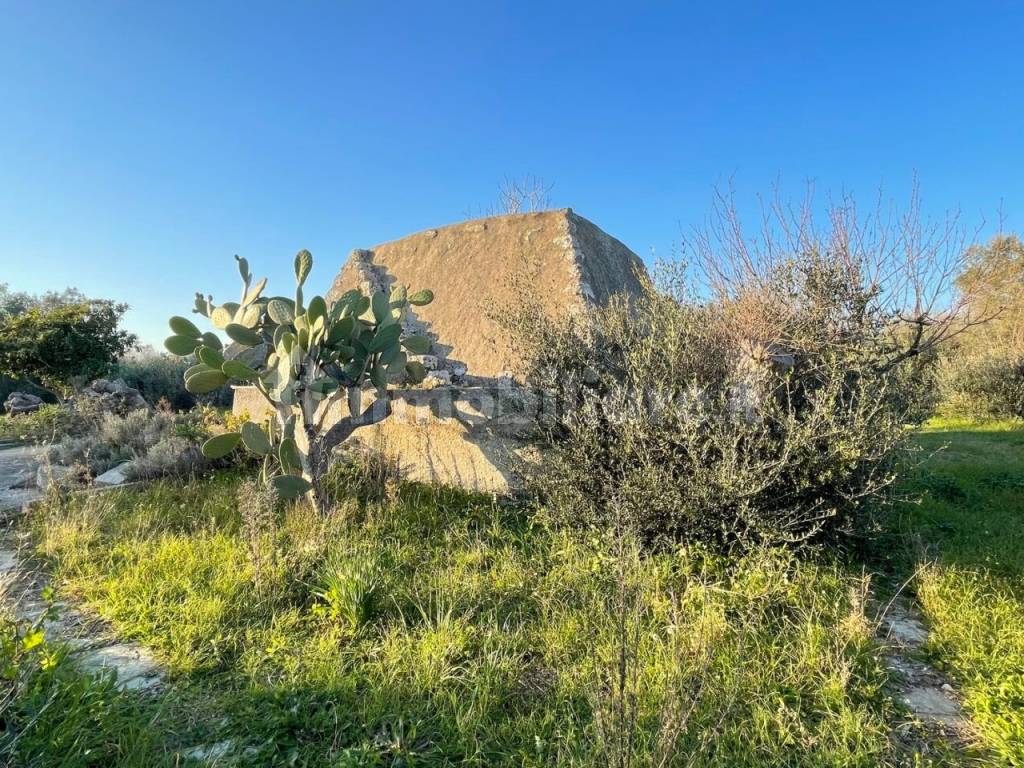 Terreno con Pajara in vendita a Carpignano