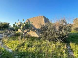 Terreno con Pajara in vendita a Carpignano