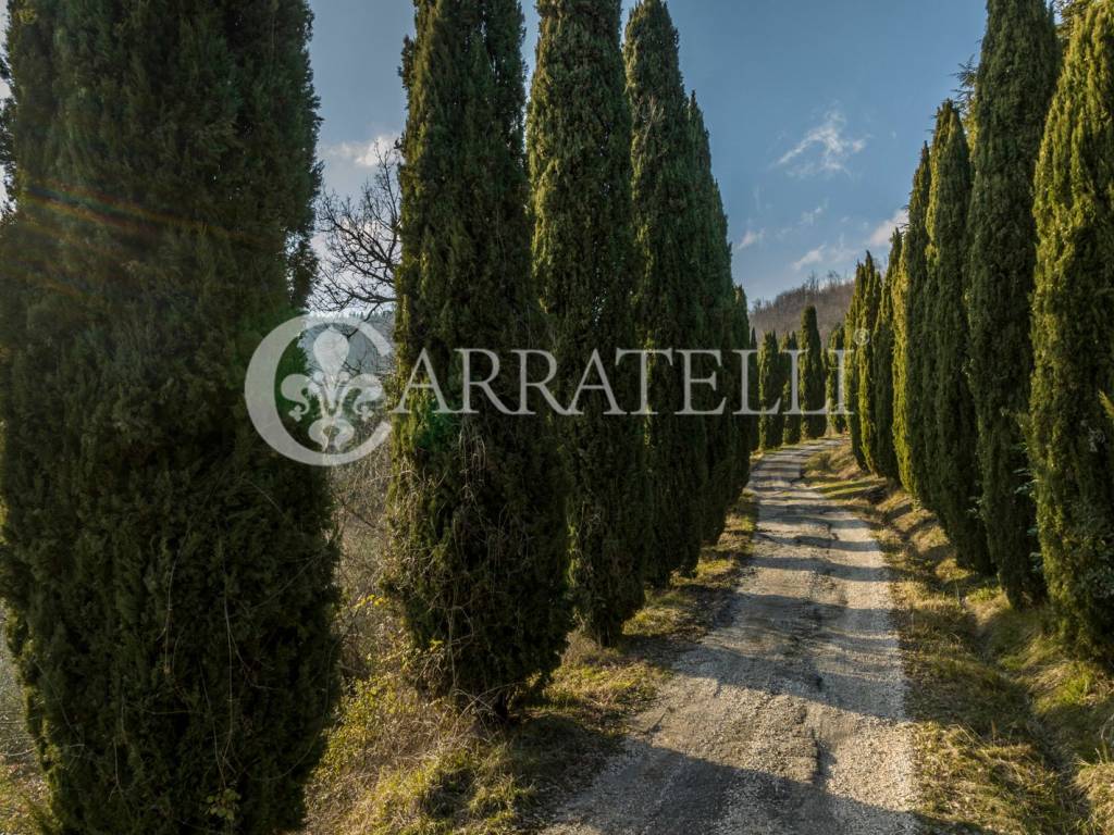 Borgo con terreno e piscina a Barberino di Mugello