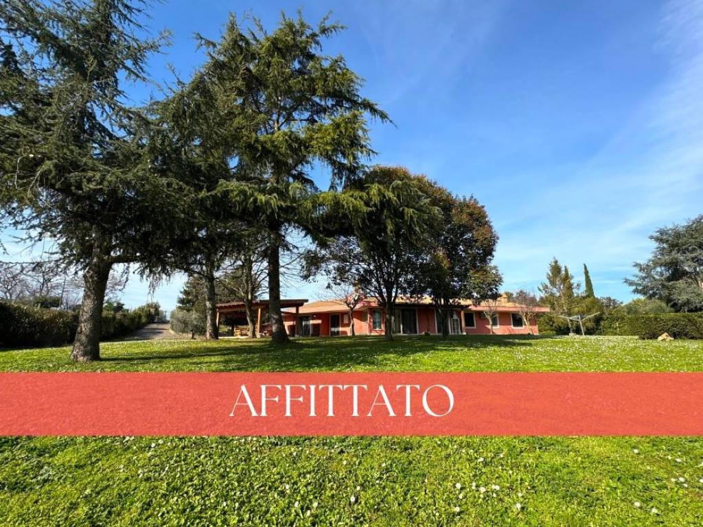 AFFITTATO