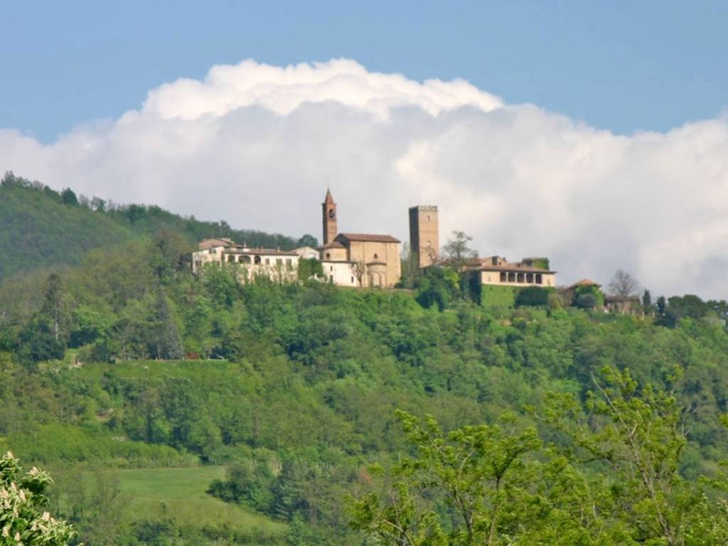 VISTA SU CASTELLO DI NAZZANO