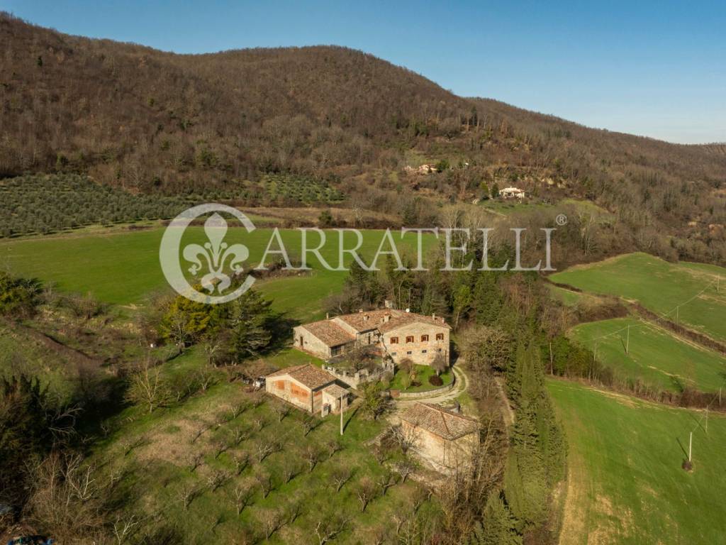 Casale nel Mugello con chiesa terreno e ulivi