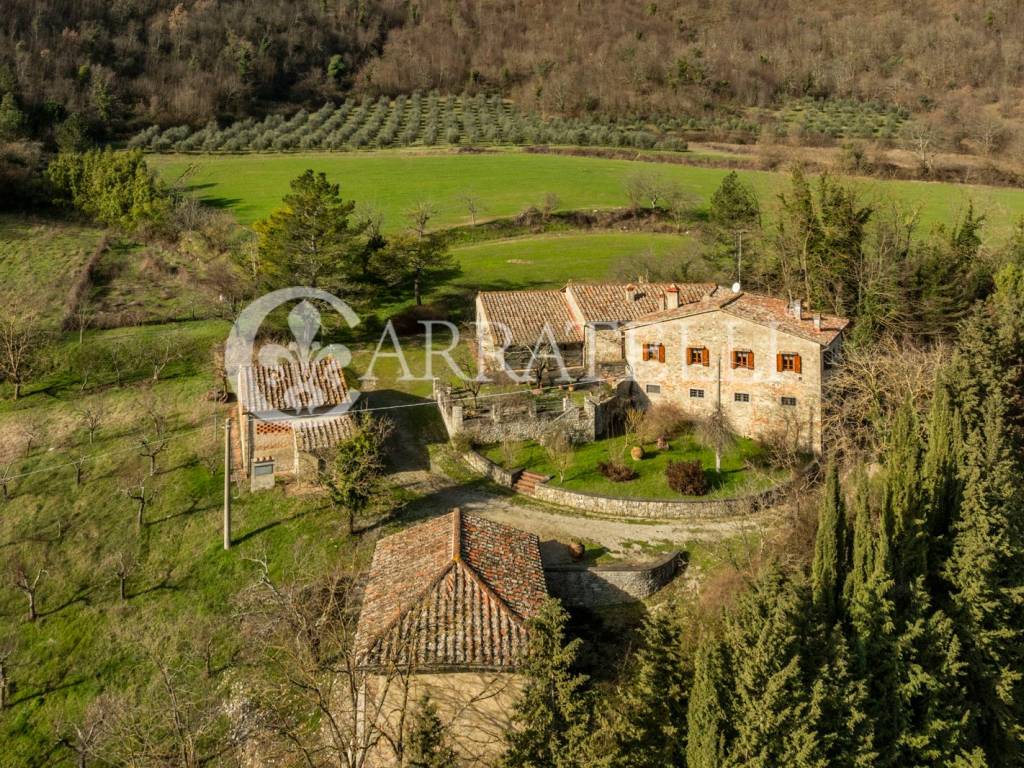 Casale nel Mugello con chiesa terreno e ulivi