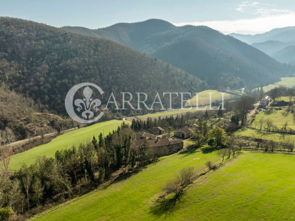 Casale nel Mugello con chiesa terreno e ulivi