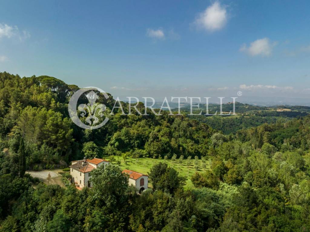 Casale con piscina dependance e terreno a Palaia