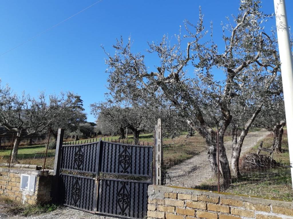 Terreno agricolo via venezia tridentina 67, santa lucia, fonte nuova