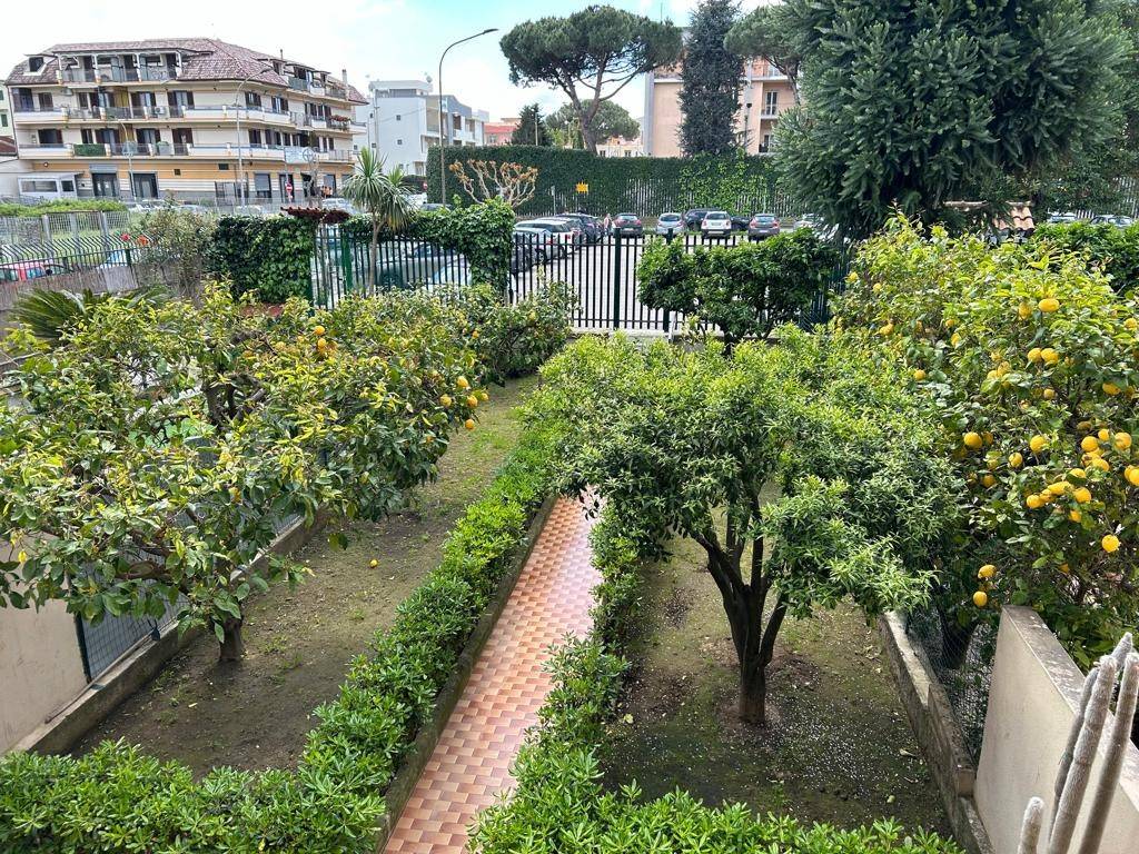 giardino