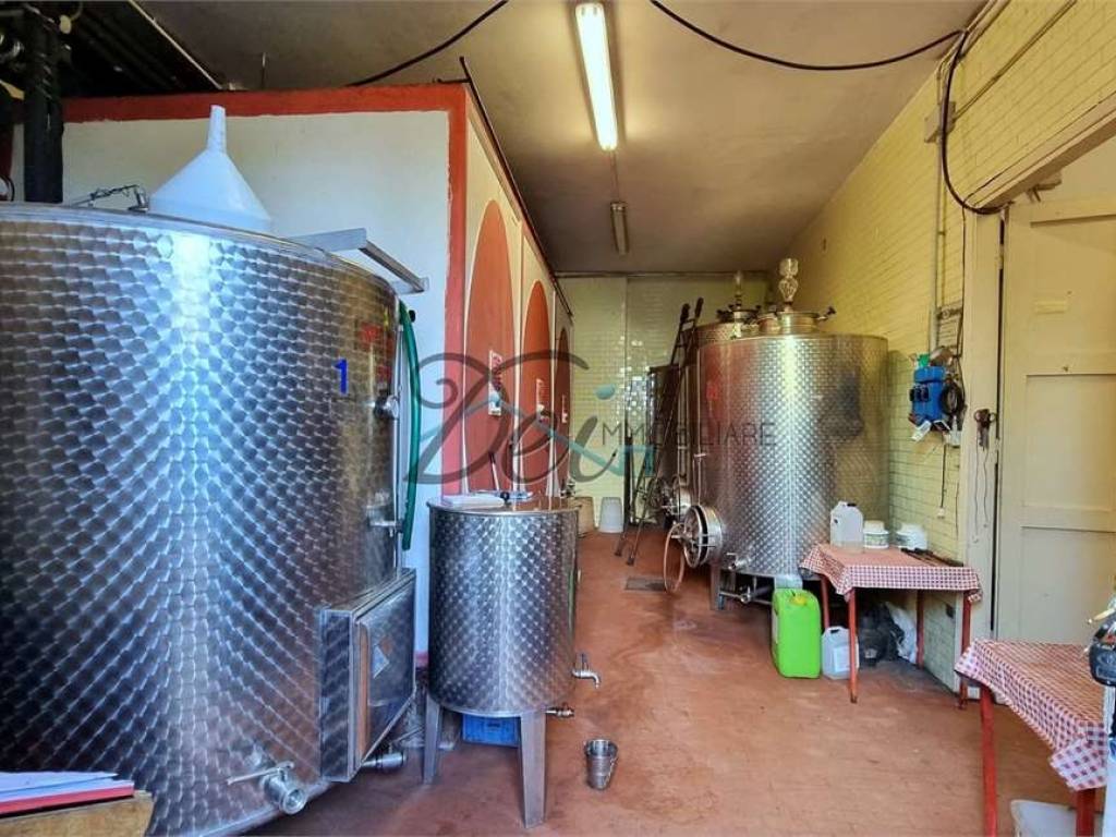 Cantina Produzione Vino