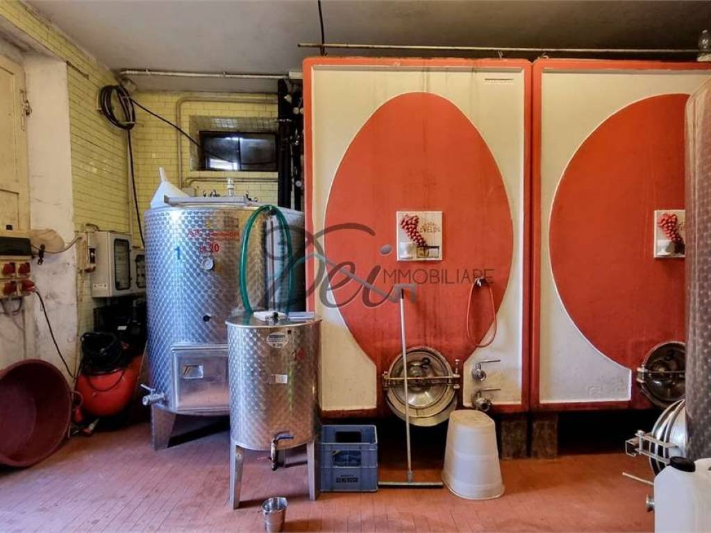 Cantina Produzione Vino