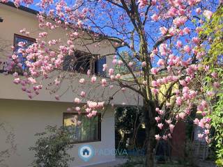 padova guizza villa con giardino  01