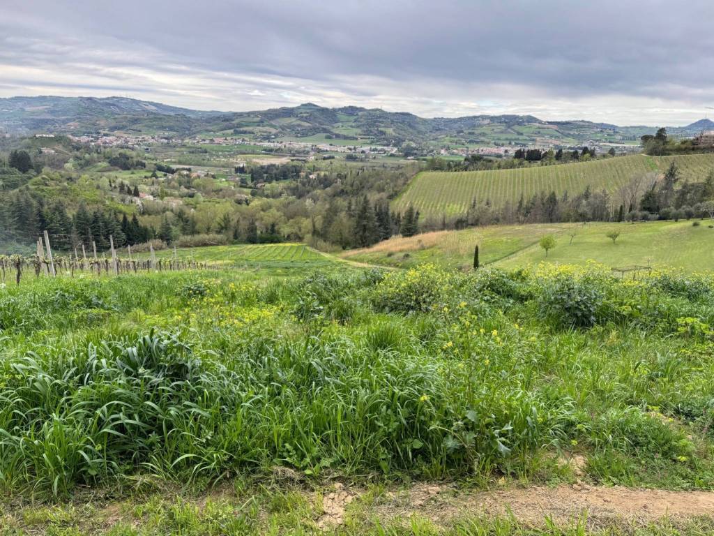 Terreno agricolo, rio eremo - acquarola, cesena