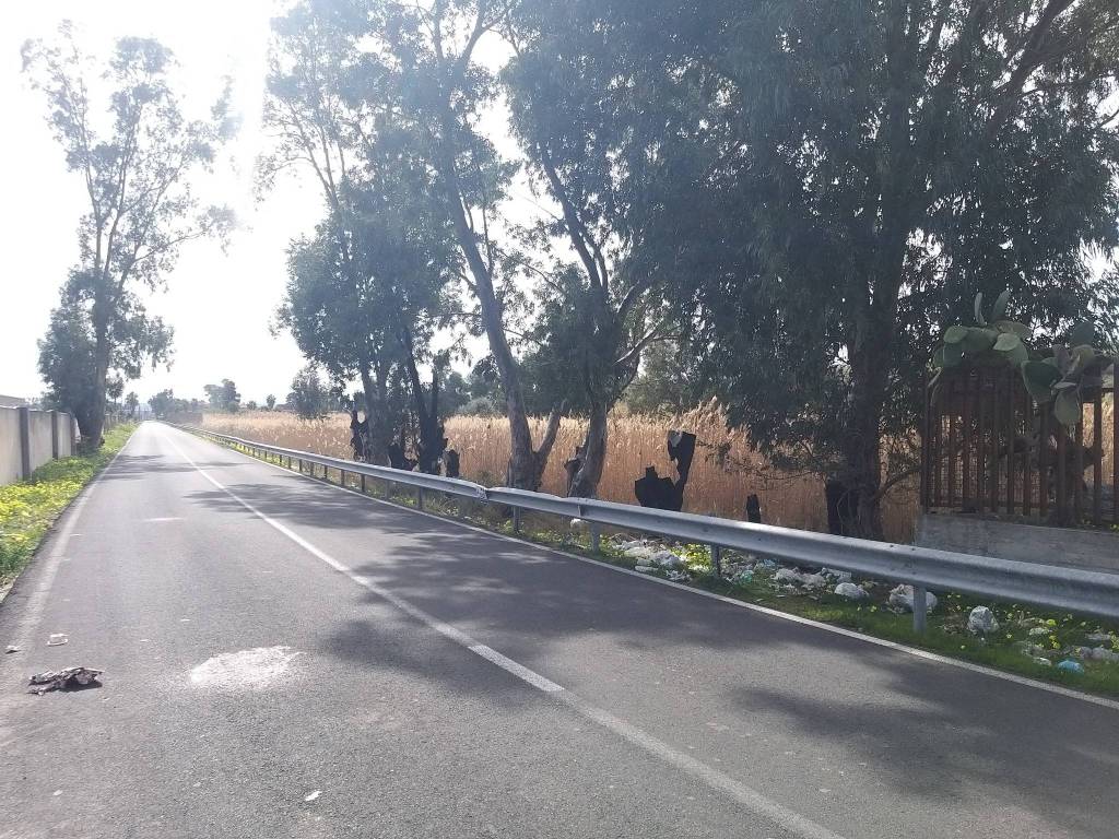 Terreno agricolo stradale coda volpe, vaccarizzo, catania