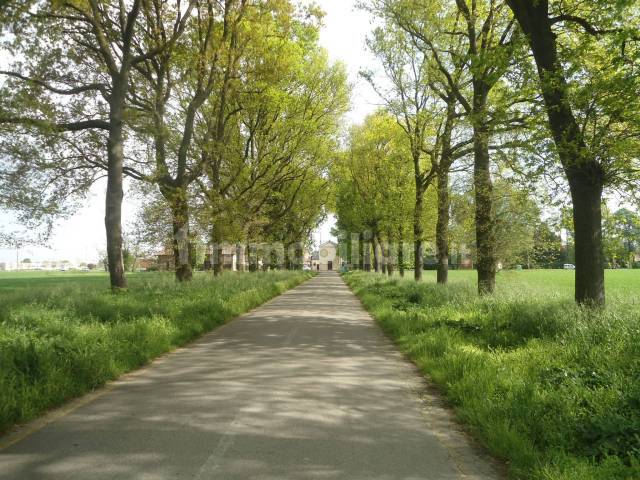 VIALE