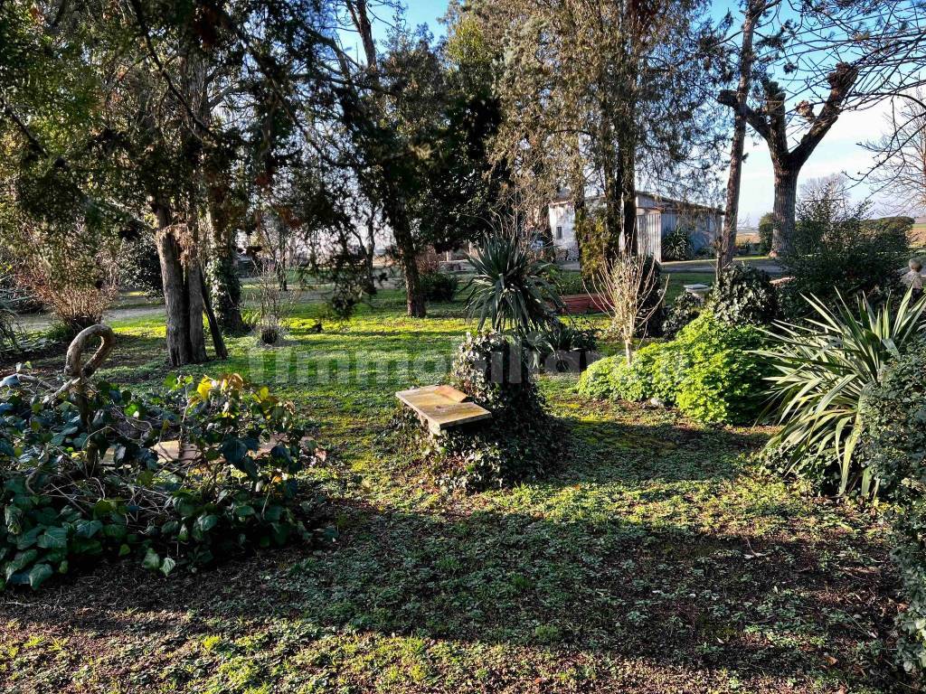 Giardino