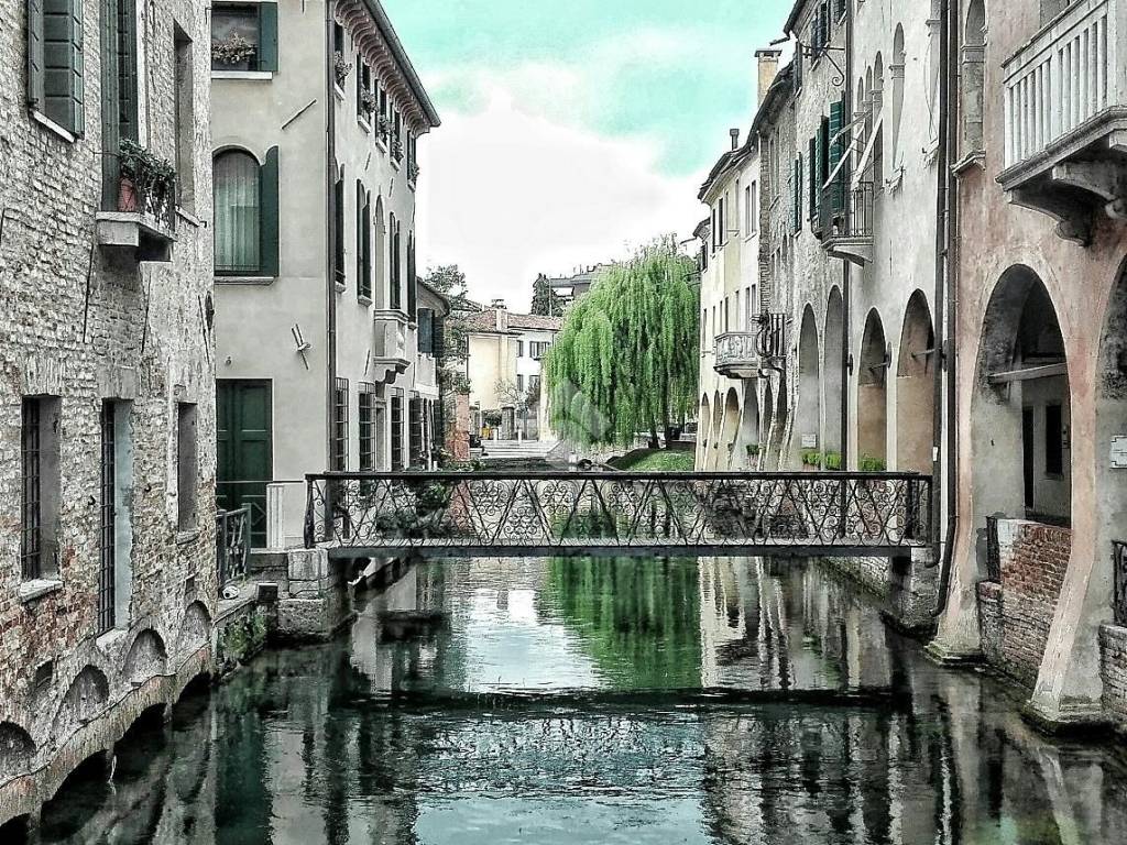 Treviso