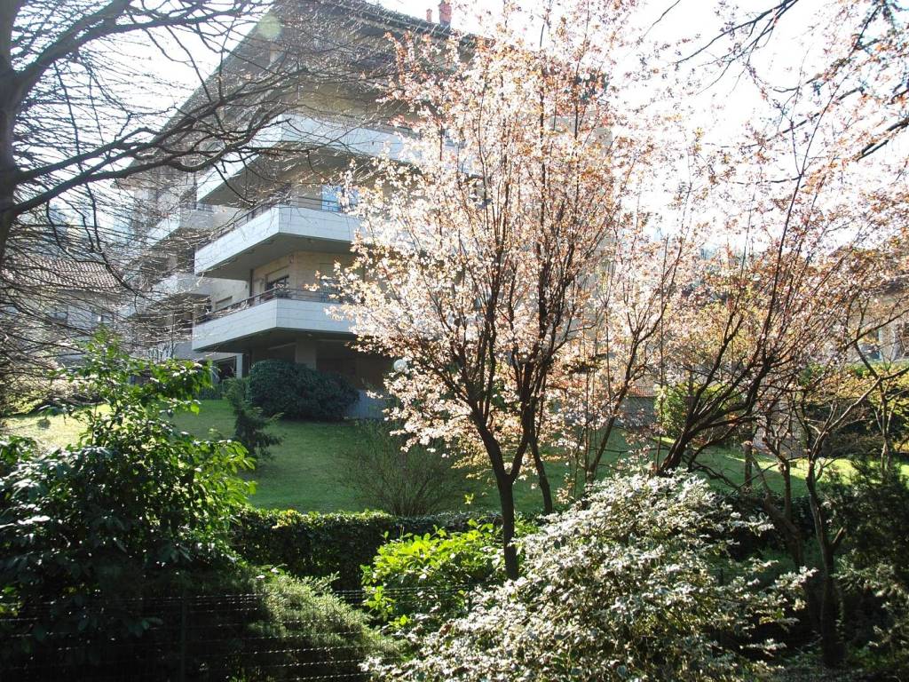 giardino condominiale