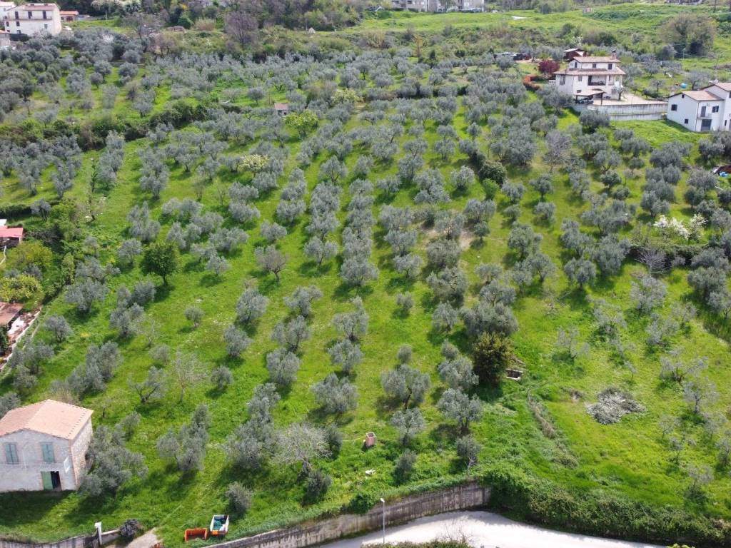 Terreno edificabile viale giosuè carducci 32, centro, scandriglia