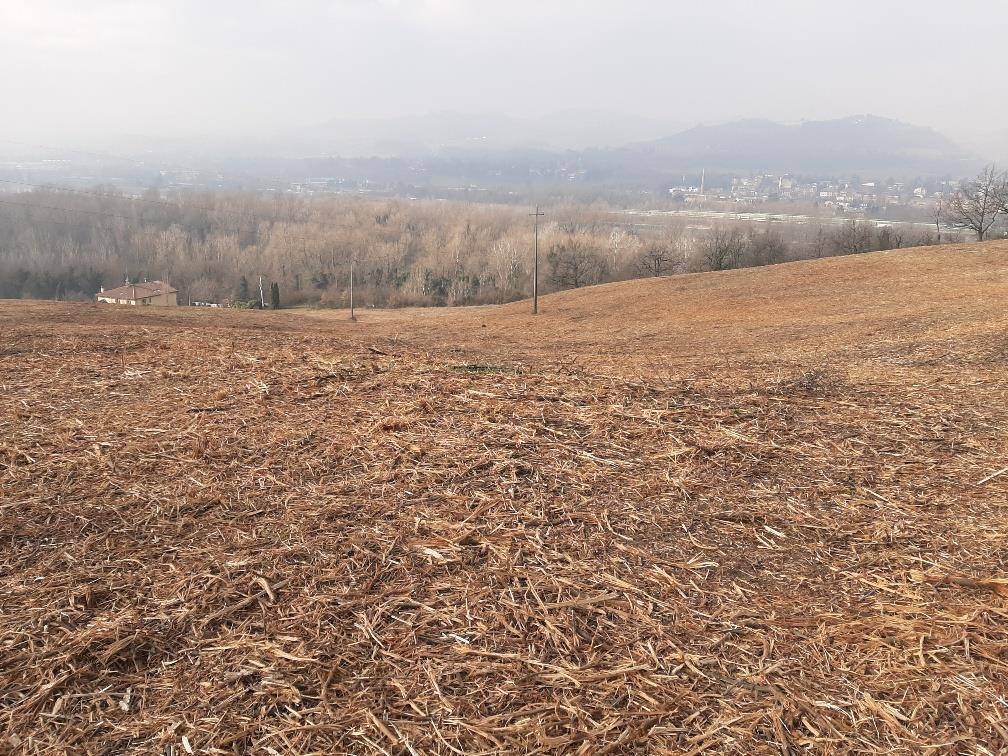 Terreno agricolo via casaglia, collinare, bologna