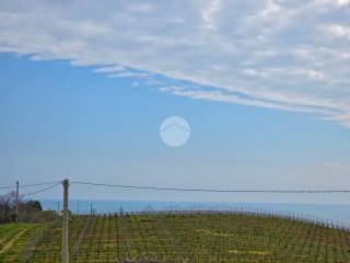 villa bifamiliare - spazi esterni e vista (3)