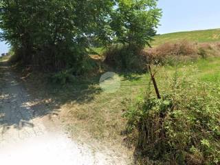 terreno agricolo 35.000 mq con lago artificiale (3)