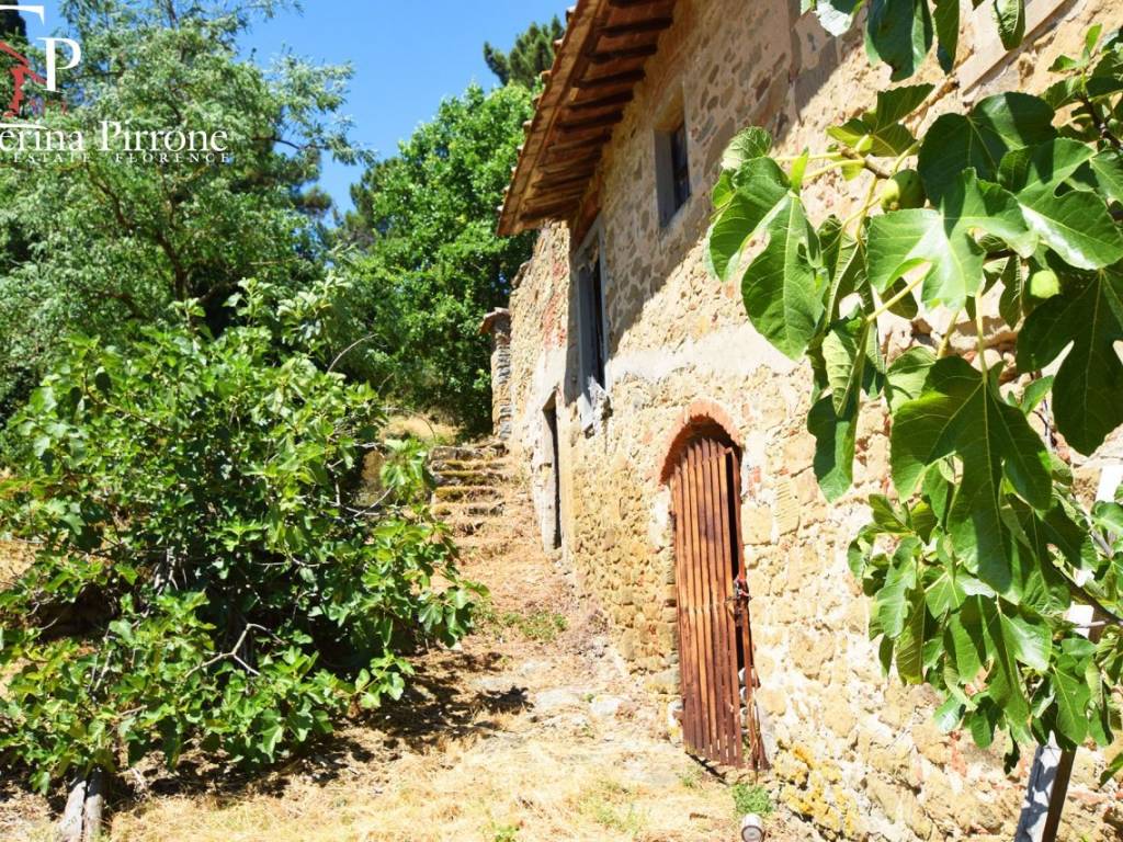 Rignano sull'Arno - Bisticci vendesi colonica da ristrutturare