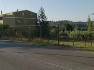 Zona