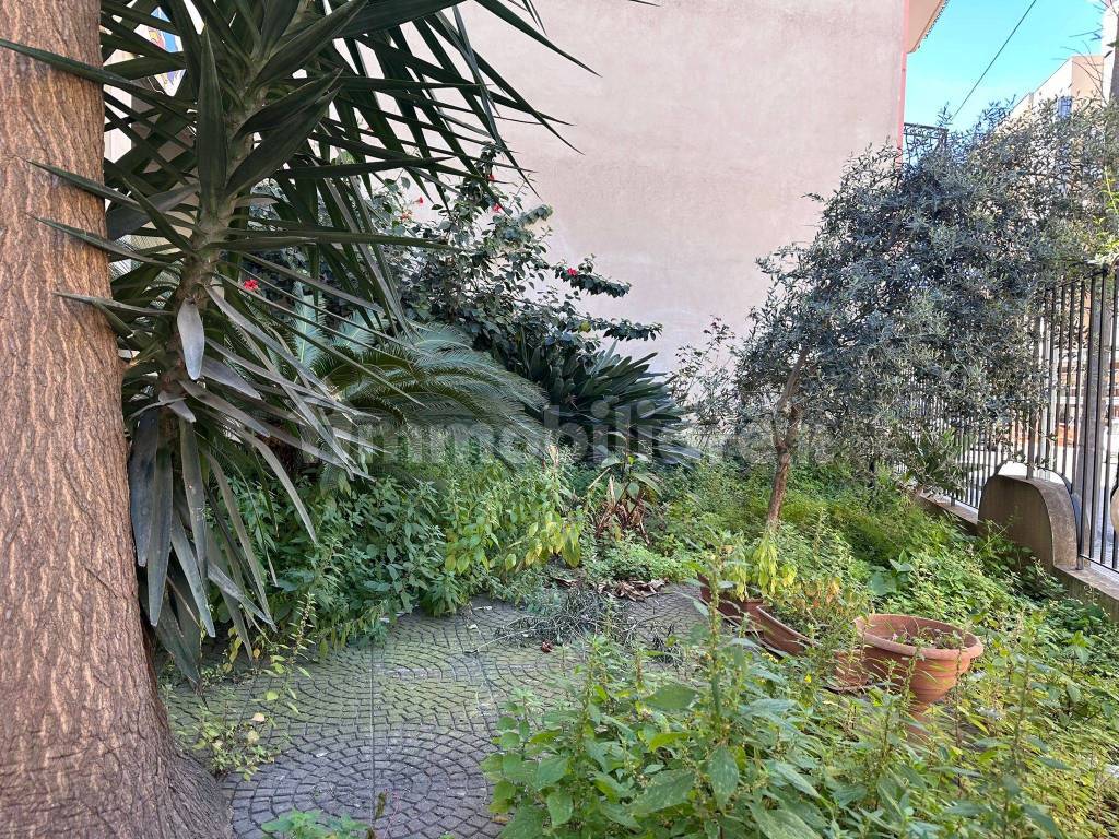 Giardino