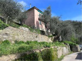 Foto - Vendita casa, giardino, Rapallo, Golfo del tigullio