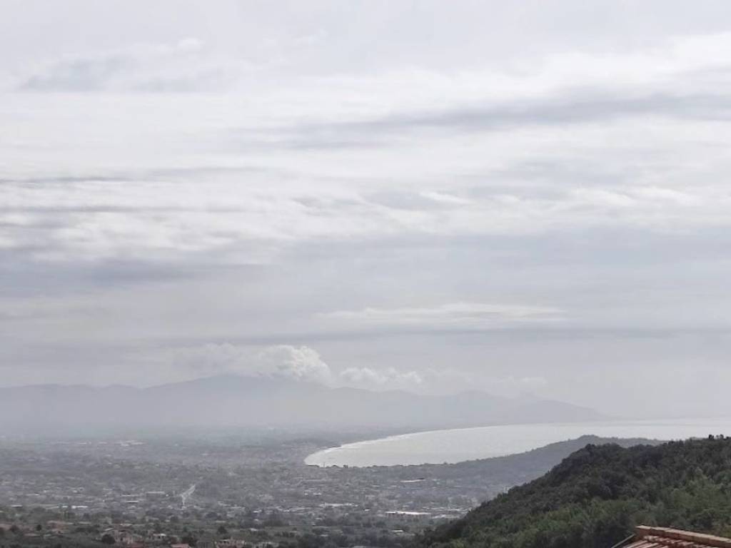 Vista