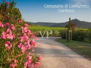 campagna di  Castagneto 