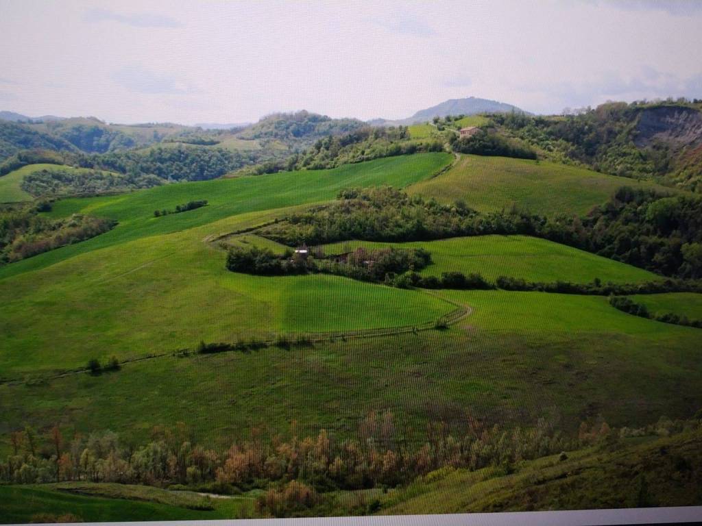 Terreno agricolo via della croce 9, pianoro