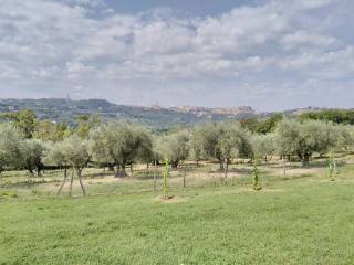 Terreno con vista panoramica su Perugia