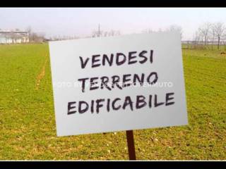 Immagine_immagine terreno 1.png