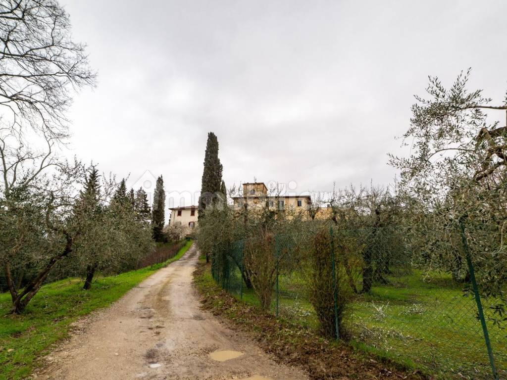 Torre medievale in vendita - giardino