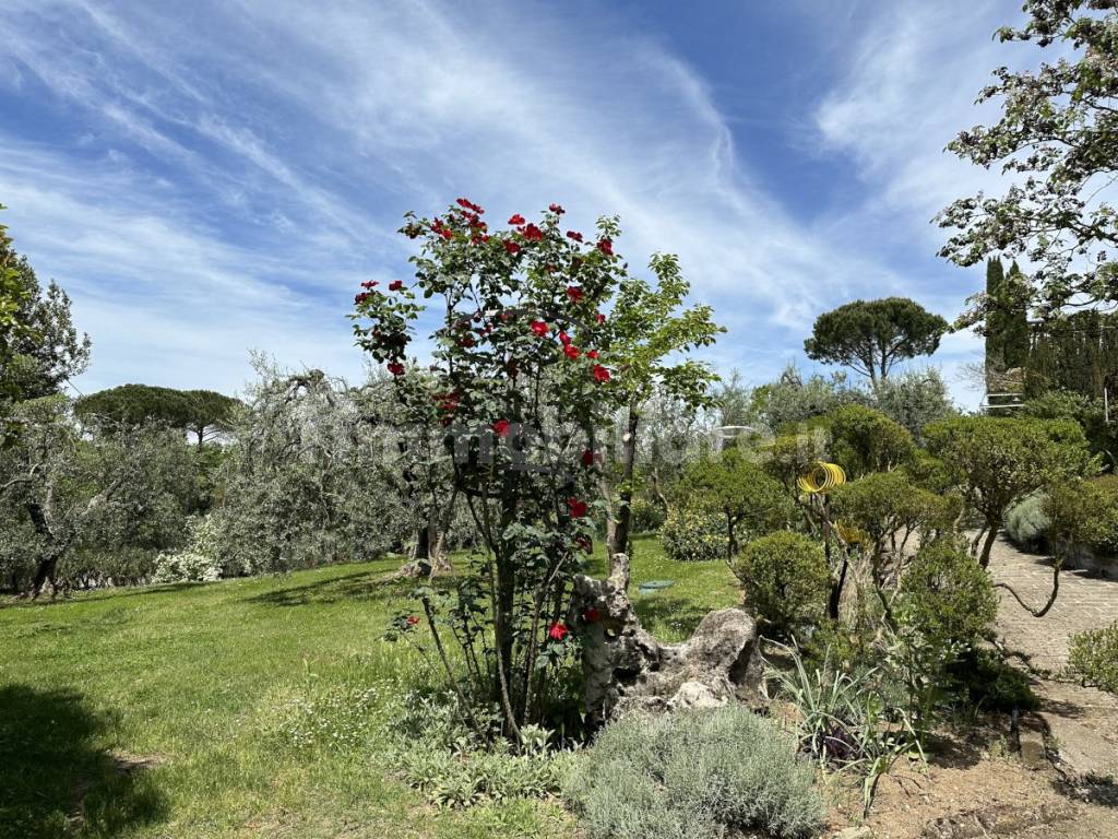 giardino